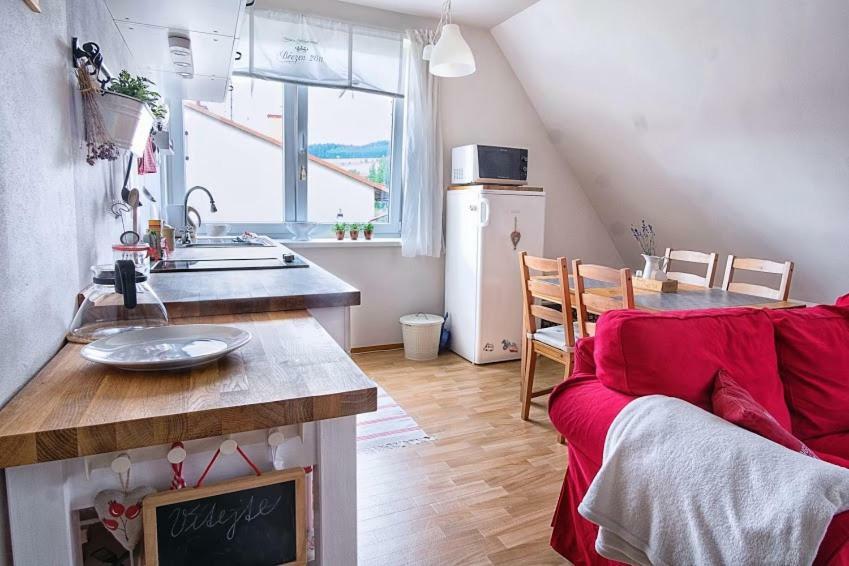 Apartman Destna Cp.1 Дештне в Орлицких горах Экстерьер фото